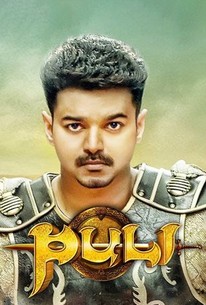 Poster for Puli