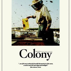 Colony photo 1