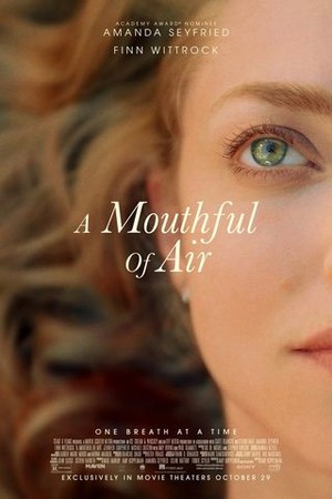 A Mouthful of Air poster