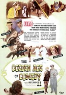 The Golden Age of Comedy poster image
