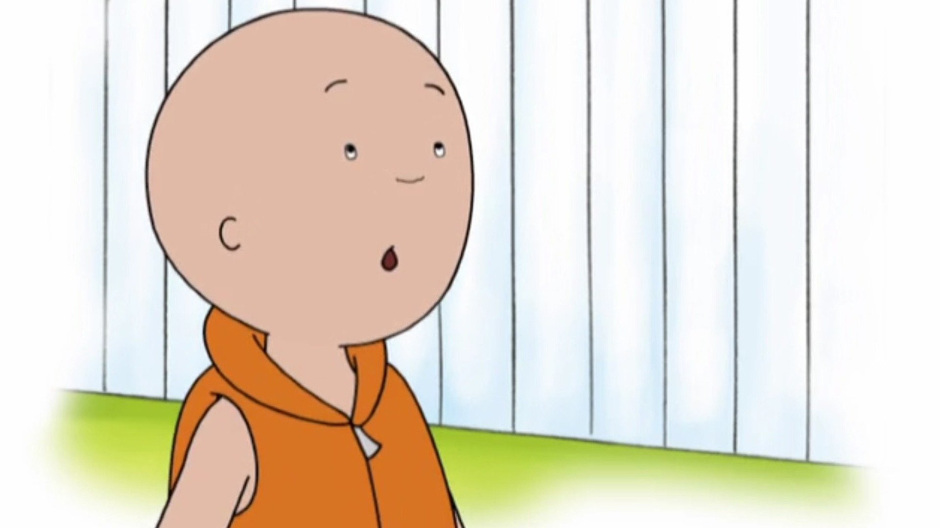 Caillou: Caillou the Courageous [DVD] [Import]