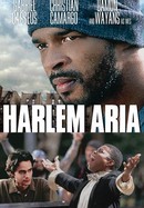 Harlem Aria poster image