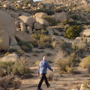 Where Is Rocky II? (2016) photo 3
