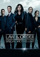 Law & Order: Special Victims Unit poster image