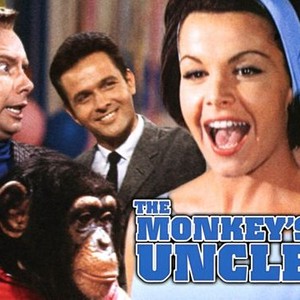 The Monkey's Uncle photo 9