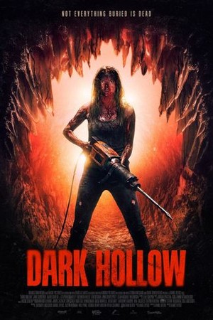 Dark Hollow poster