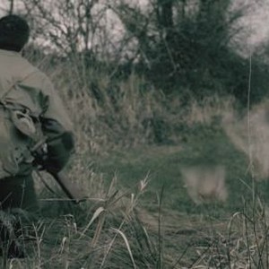 The Hole Rotten Tomatoes