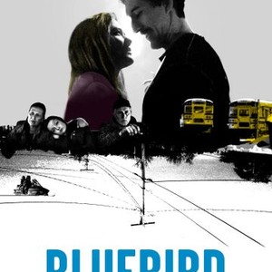 Bluebird photo 10