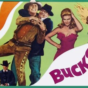 Buckskin photo 4