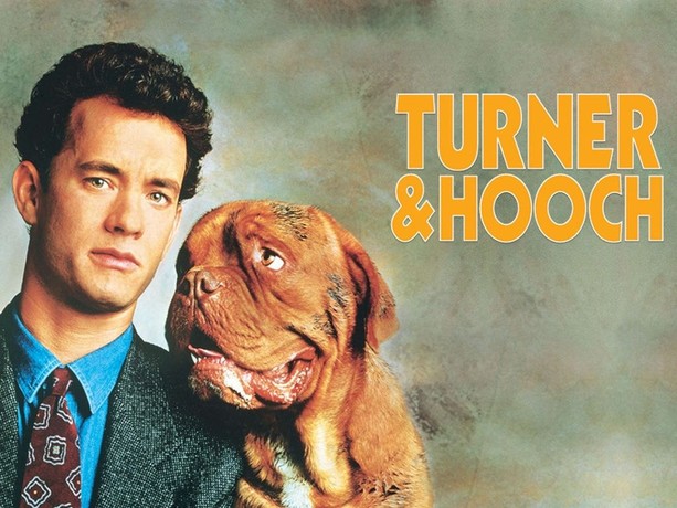 French Mastiff Beasley What Kind Of Dog Was Hooch In The Movie Turner And  Hooch Tom Hanks Turner Hooch 1989 Hi-res Stock Photography And Images