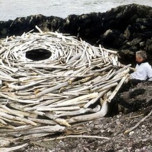 Rivers and Tides: Andy Goldsworthy With Time (2001) photo 4