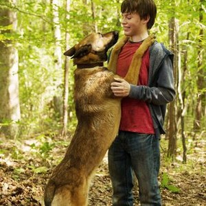 MAX, Josh Wiggins, 2015. ph: Kent Smith/©Warner Bros. Pictures