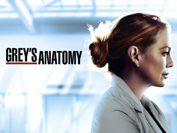 Grey s Anatomy Season 17 Rotten Tomatoes