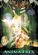The Animatrix poster image