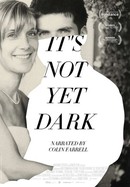 It's Not Yet Dark poster image