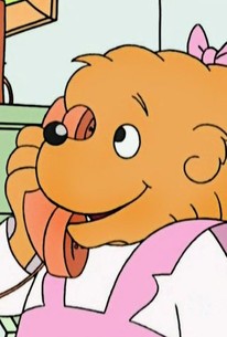 The Berenstain Bears: Season 1, Episode 1 | Rotten Tomatoes