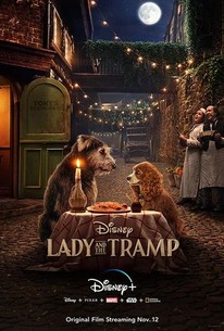 Lady and the Tramp poster