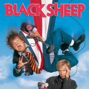 Black Sheep photo 10