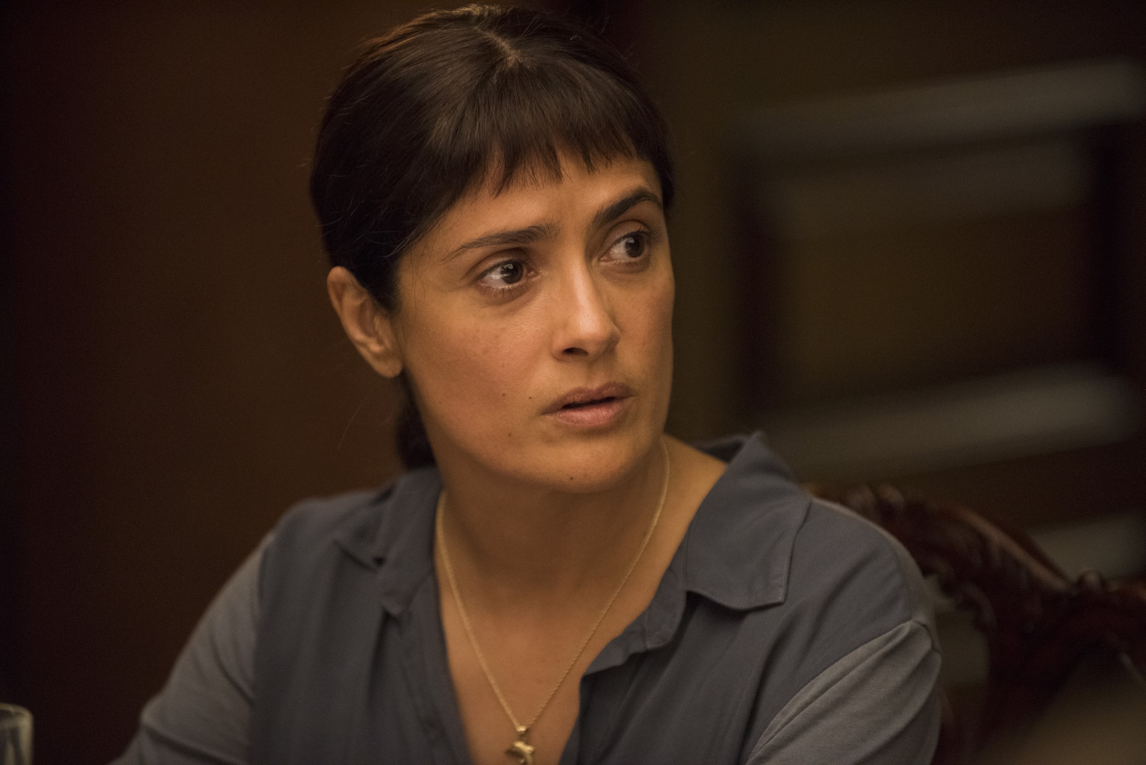 Beatriz at Dinner Rotten Tomatoes