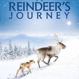 "A Reindeer&#39;s Journey photo 20"