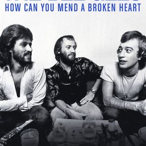 The Bee Gees: How Can You Mend a Broken Heart photo 13