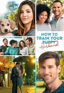 How to Train Your Husband poster image