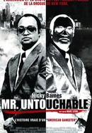 Mr. Untouchable poster image