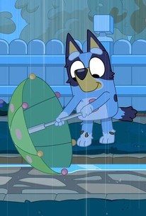 Bluey: Season 3, Episode 18 - Rotten Tomatoes