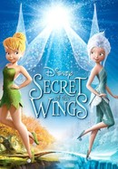Secret of the Wings poster image