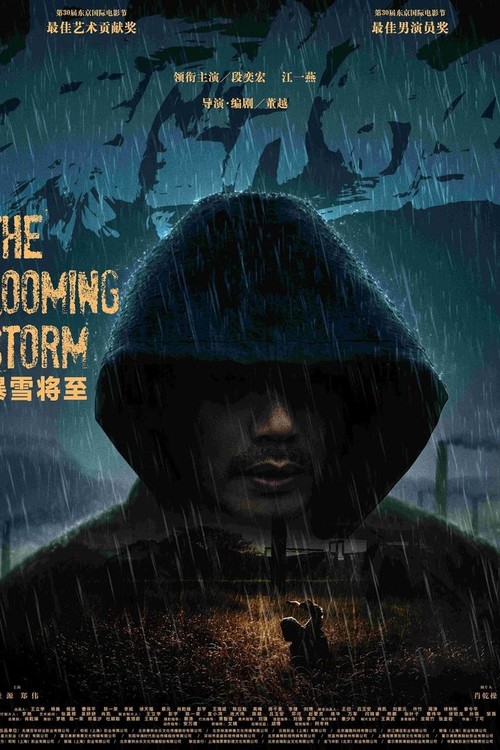The Looming Storm poster