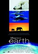 Earth poster image