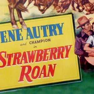 The Strawberry Roan photo 1