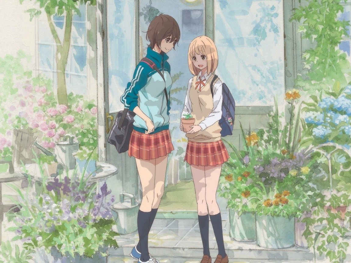 Kase-san and Morning Glories Pictures | Rotten Tomatoes