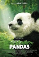 Pandas poster image