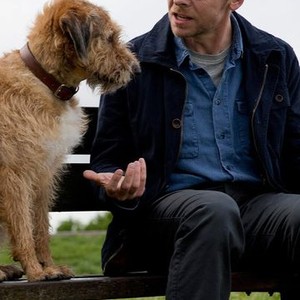 Absolutely Anything (2015)