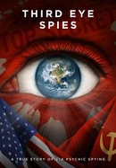 Third Eye Spies poster image