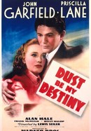 Dust Be My Destiny poster image