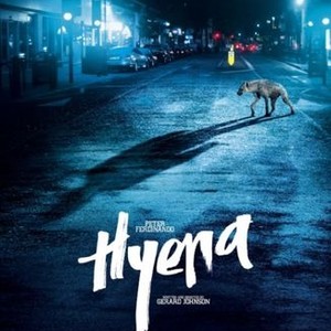 Hyena photo 11