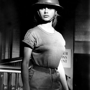 BABETTE GOES TO WAR, Brigitte Bardot, 1959