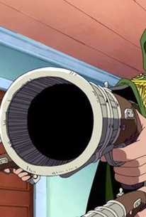 One Piece Season 8 Episode 15 Rotten Tomatoes