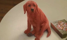 Clifford the Big Red Dog: Official Clip - Clifford Comes Home photo 7