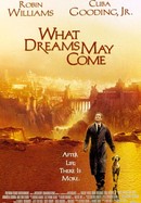 What Dreams May Come poster image