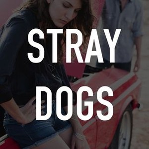 Stray Dogs photo 7