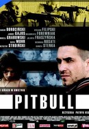 Pitbull poster image