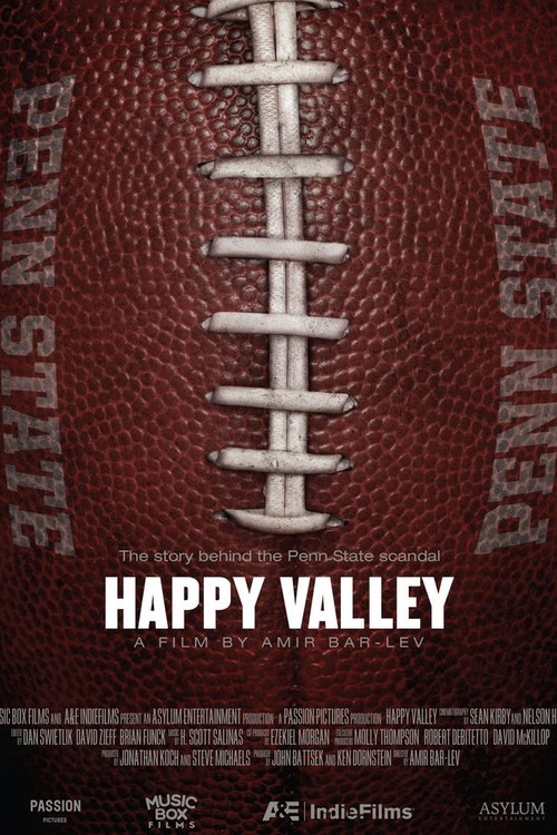 Happy Valley poster