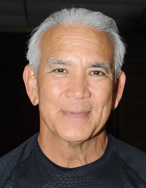 Ricky Steamboat Rotten Tomatoes