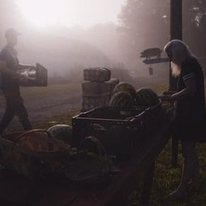 Comfort Farms (2020) photo 4