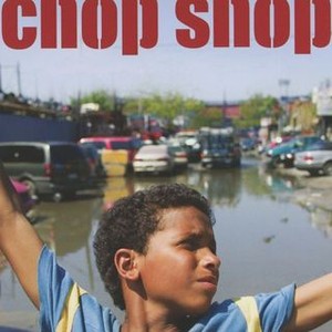 Chop Shop (2007) photo 12