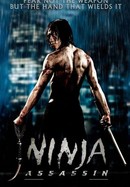 Ninja Assassin poster image