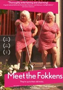 Meet the Fokkens poster image